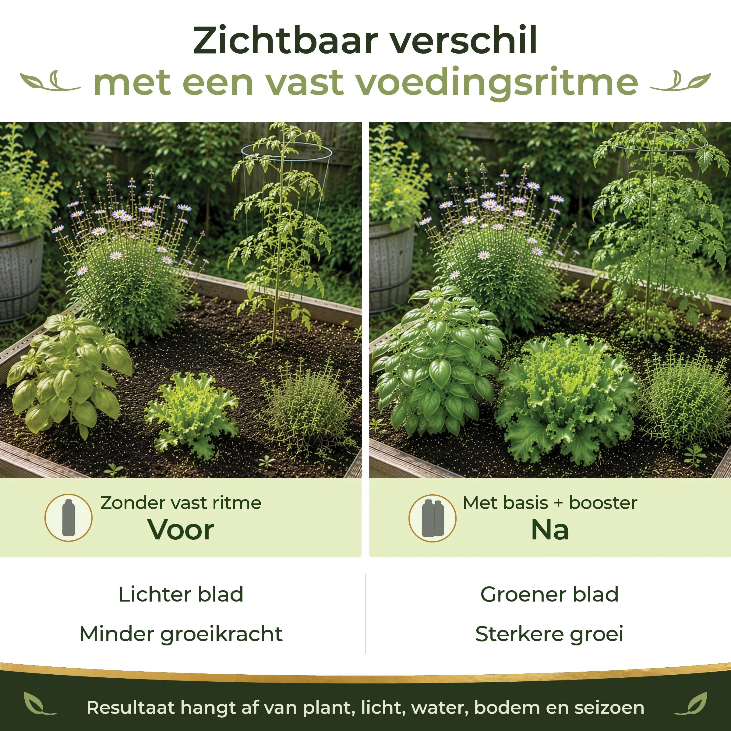Before and after comparison of garden plants with a steady feeding rhythm and Garden Gold Starter Pack