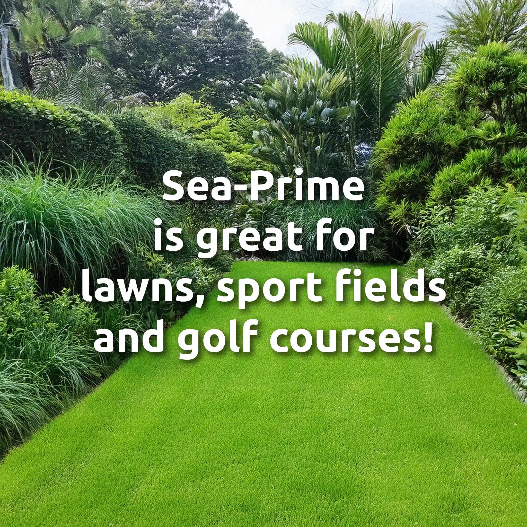 Sea-Prime is great for lawns, sport fields and golf courses!