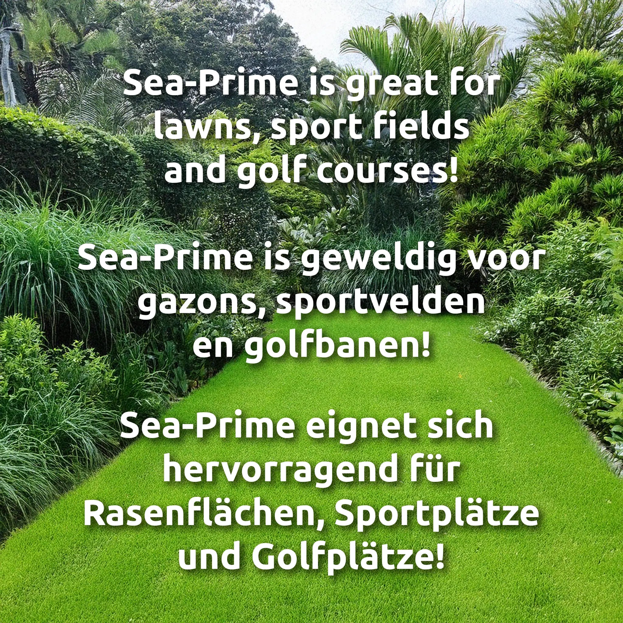Sea-Prime Organischer Algendünger | GARDEN GOLD