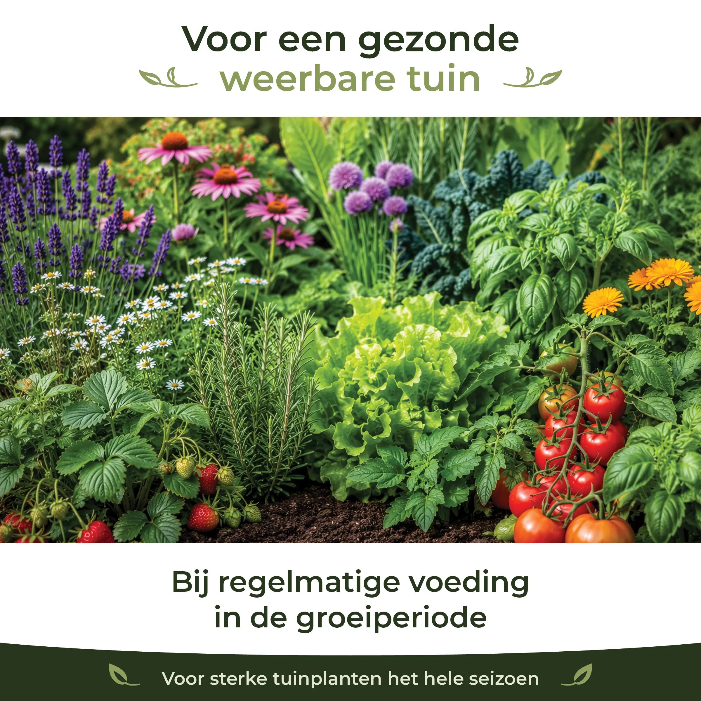 Organischer Dünger für den Garten