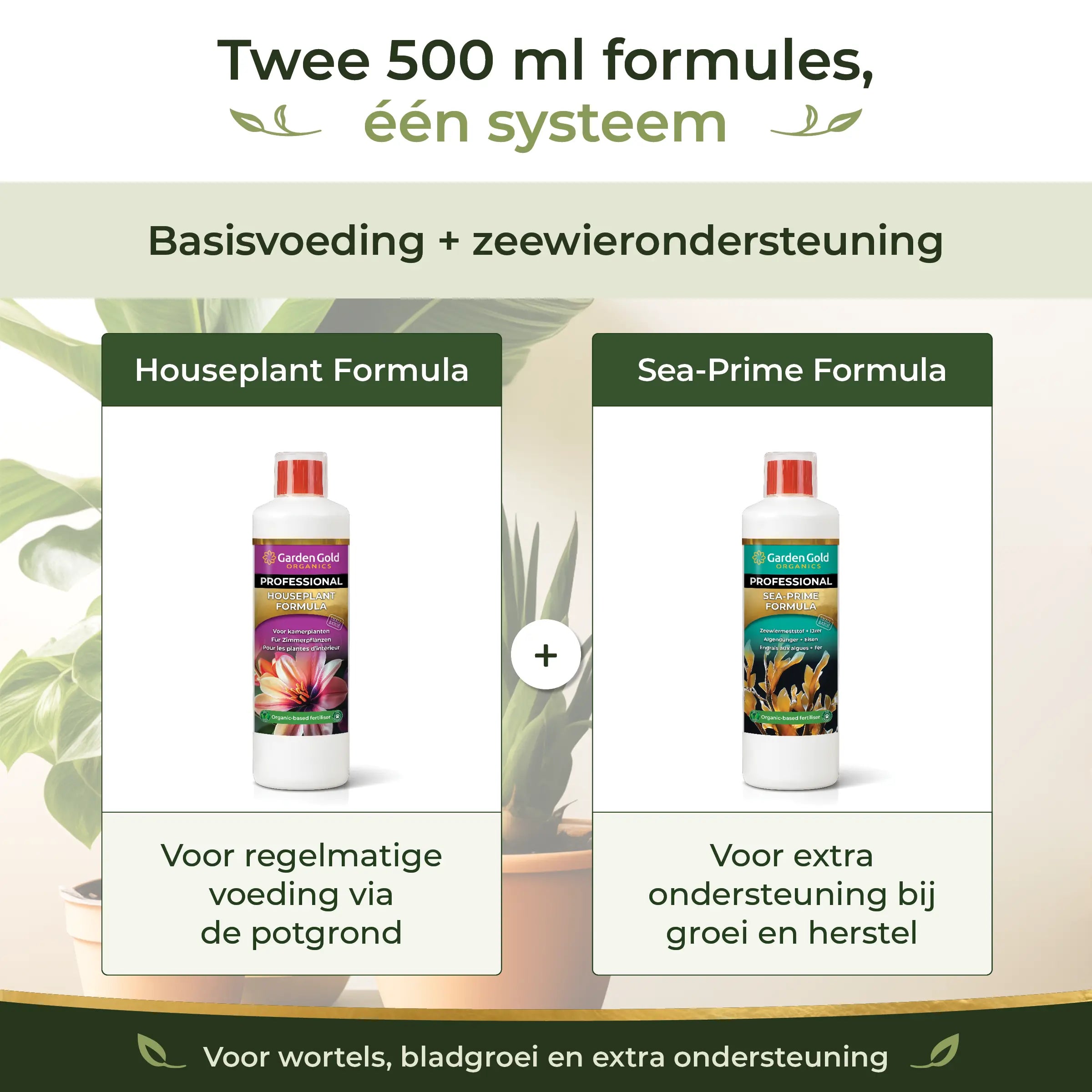 Two 500 ml formulas in the Houseplant Starter Pack with base fertiliser and seaweed support