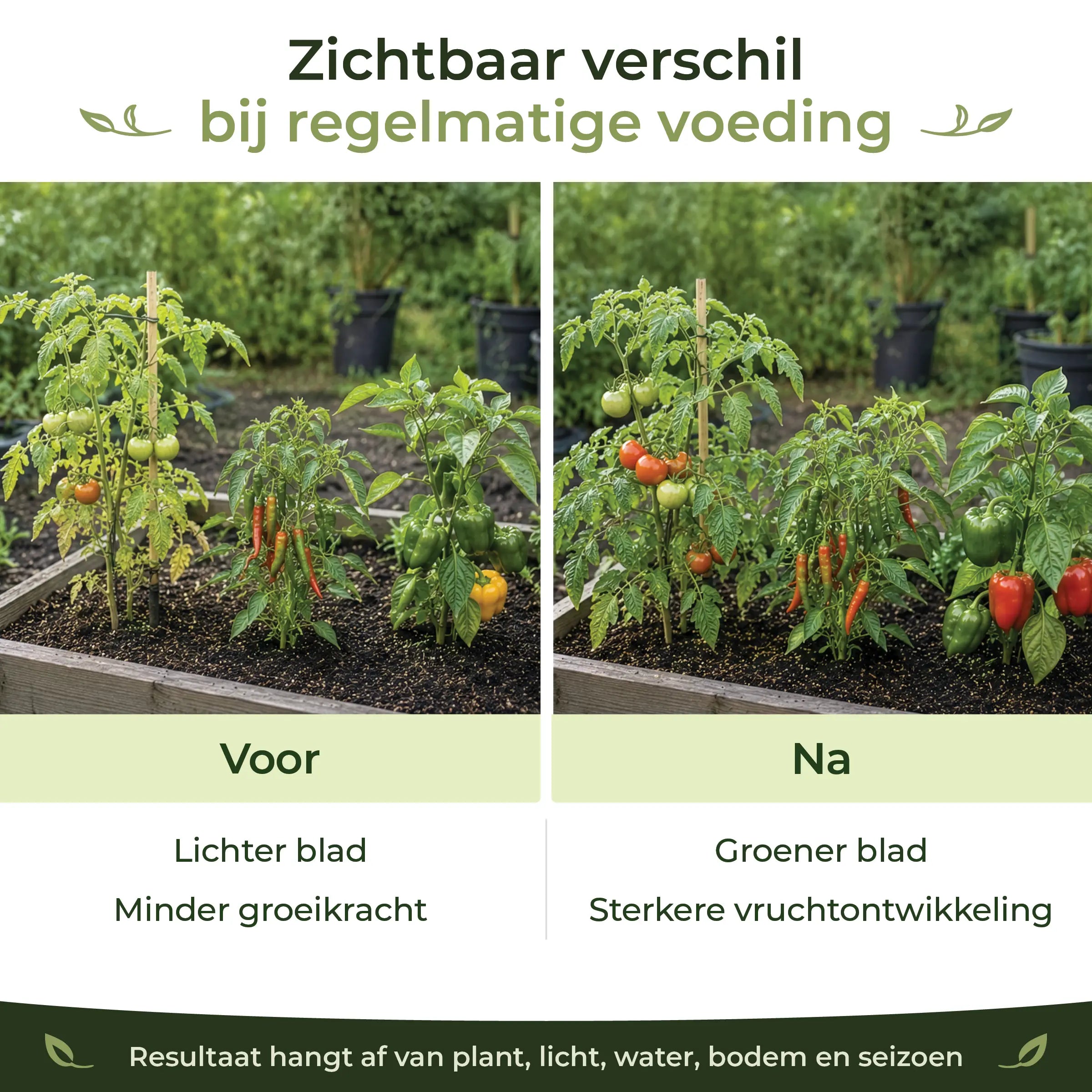 Organischer Tomaten-, Chili- & Starkzehrerdünger
